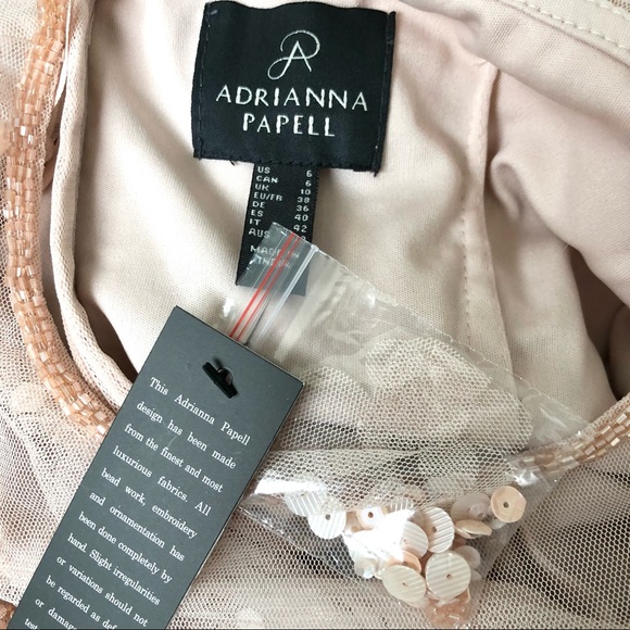 Adrianna Papell 3D Floral Embellishments Midi Cocktail Dress in Shell/Pink - Picture 7 of 14